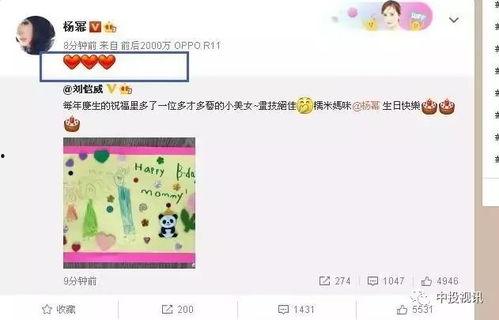 娛樂(lè)吃瓜醬生日,生日快樂(lè)，揭秘這位娛樂(lè)圈“瓜王”的獨(dú)家魅力