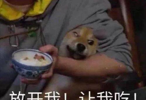 娛樂圈吃瓜科普,那些你不知道的幕后故事與真相