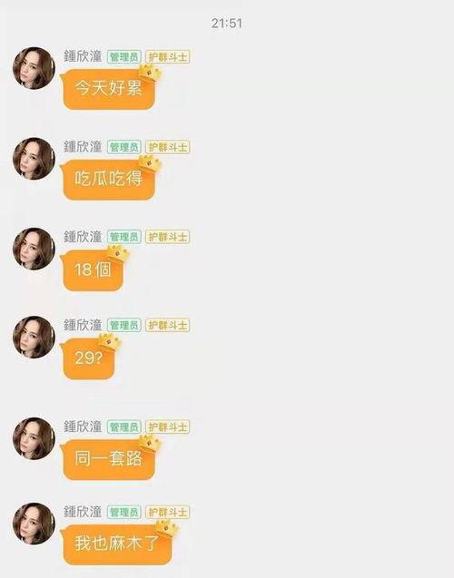 娛樂吃瓜文檔,從吃瓜文檔看明星幕后故事