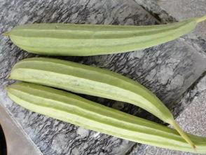 專業(yè)娛樂吃瓜,揭秘明星幕后那些事兒