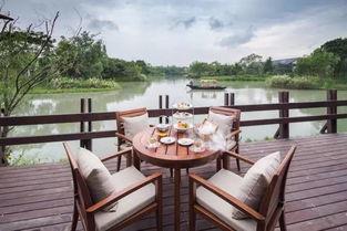 吃瓜娛樂(lè)杭州椰子賓館,揭秘網(wǎng)紅酒店背后的吃瓜娛樂(lè)故事