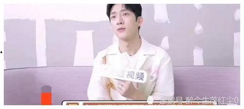 娛樂吃瓜醬 姐弟,揭秘姐弟情深背后的娛樂風云