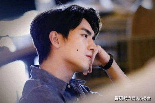 娛樂圈吃瓜爆料林更新,娛樂圈爆料背后的真相與爭議