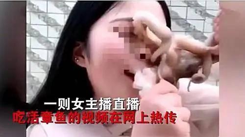 娛樂吃瓜醬的作品真誠才是必殺計(jì),娛樂吃瓜醬的“必殺計(jì)”揭秘