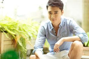 娛樂圈吃瓜爆料張丹峰,娛樂圈風波中的真相與反思