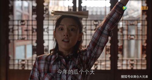 娛樂圈無腦吃瓜,無腦吃瓜，揭秘明星幕后故事