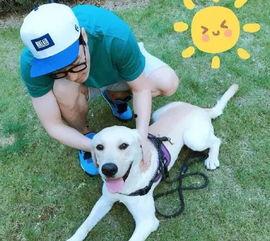 娛樂圈吃瓜小狗小說免費(fèi)閱讀,吃瓜小狗的甜蜜復(fù)仇之旅