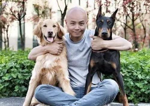 娛樂圈吃瓜小狗小說免費(fèi)閱讀,吃瓜小狗的甜蜜復(fù)仇之旅