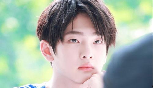 娛樂吃瓜小將王惠小說,娛樂圈的吃瓜小將，揭秘明星背后的故事