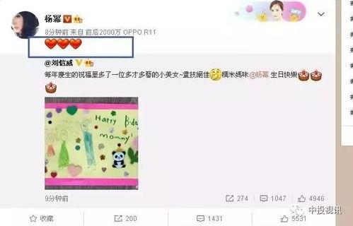 娛樂吃瓜醬過生日,星光熠熠，歡樂滿溢