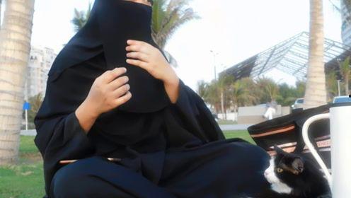 娛樂吃瓜君粉絲