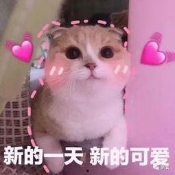 羊了個(gè)羊吃瓜娛樂,吃瓜娛樂背后的網(wǎng)絡(luò)狂歡