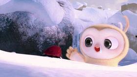 娛樂視頻日常吃瓜,揭秘明星幕后故事，帶你領(lǐng)略?shī)蕵啡︼L(fēng)云變幻